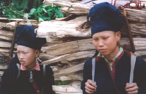 Tribu Nord Vietnam (décembre 2001)