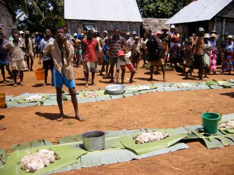 10308306_10201105840923116_8590543766647728910_n