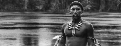 900x341x5conseilscinedec2015-01.jpg.pagespeed.ic.EgKadx0F9O