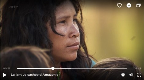 amazonie3