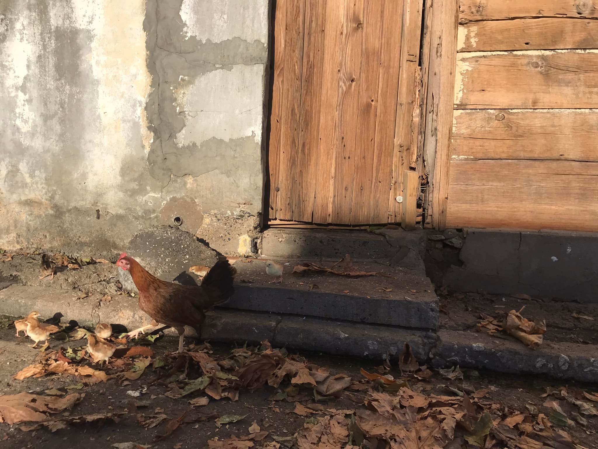 278492054_10227658374587393_535480495720444094_n