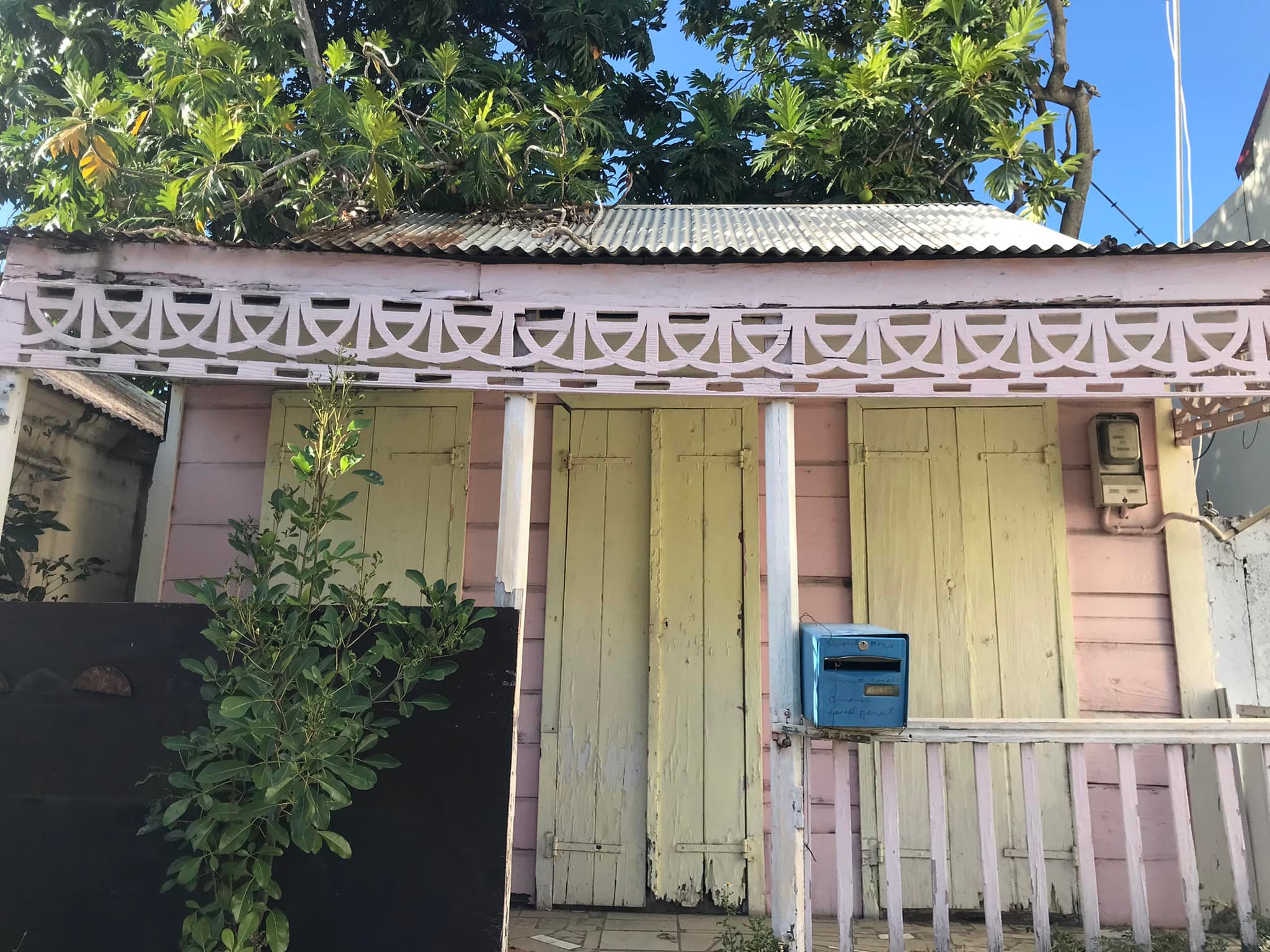 278565927_10227658374827399_8262868313940847501_n